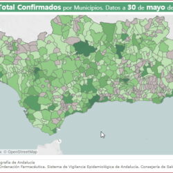 Ubrique mantiene las cifras de 55 contagios, 22 curaciones y 9 fallecimientos por covid-19 el último día de mayo