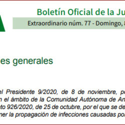 Desplazamientos autorizados por causa justificada durante el periodo de restricción de entrada y salida
