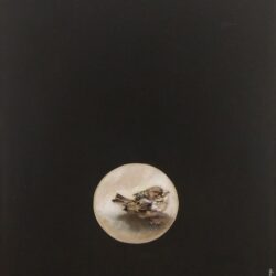 Convocado el LVI certamen local de pintura Villa de Ubrique