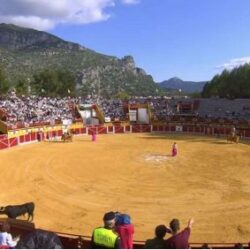 Piden responsabilidades por el aumento de casos de coronavirus tras la celebración de dos corridas de toros en Ubrique