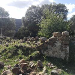 La Casa del Pastor: crónica bucólica primaveral