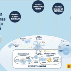 Las personas de 68 años o más pueden pedir cita para vacunarse contra el covid-19
