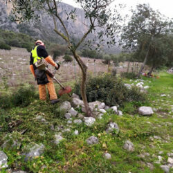 Desbroce de los caminos de los Veinte Pilares y Fátima