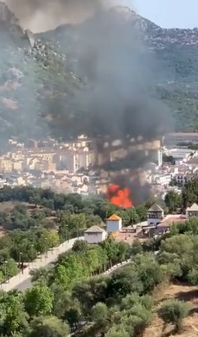 Incendio en los Olivares (Vídeo: Infoca).