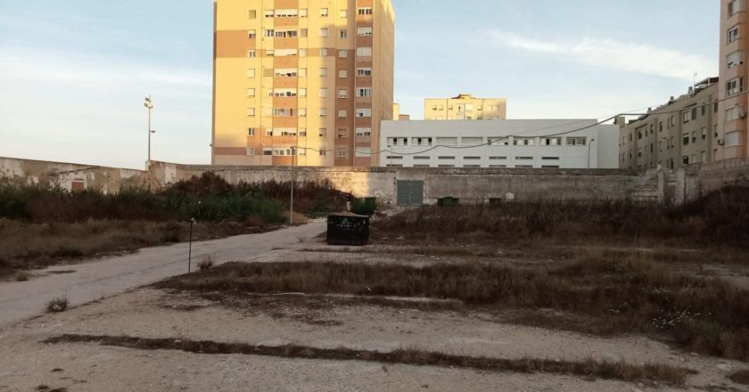 Comienza la exhumación de la fosa sur del cementerio de Cádiz, con dos ubriqueños represaliados por el franquismo