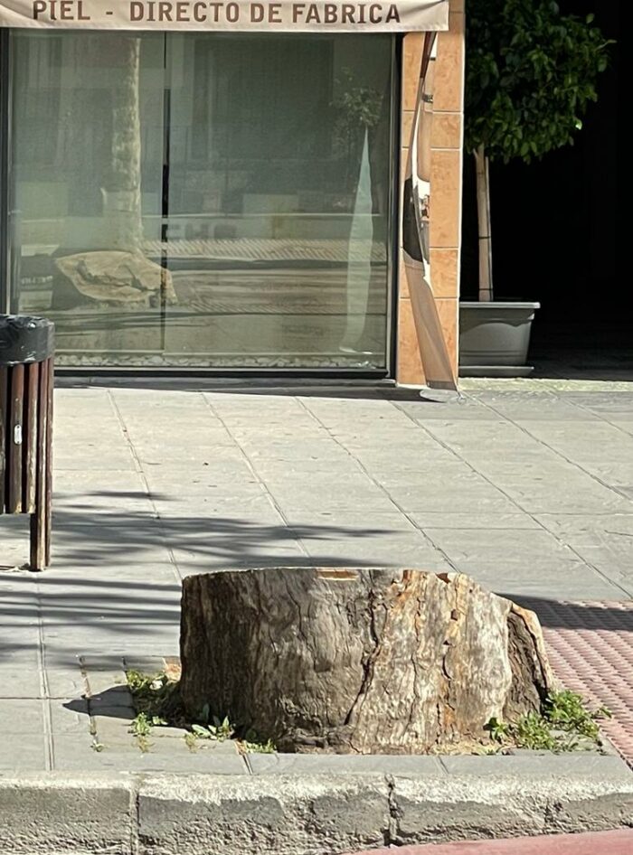 ¿Cortar o plantar? He ahí la cuestión
