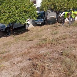 Mejora de zonas verdes y ampliación de espacios ajardinados