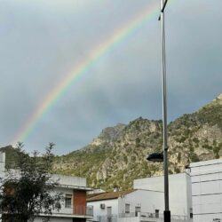 Vuelta a la normalidad