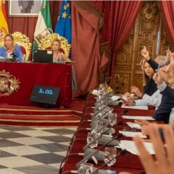 La Diputación aprueba una propuesta de IU para instar a la Junta a cubrir las dos consultas de pediatría al 100%