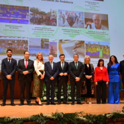 El sector de la Piel, distinguido con la bandera de Andalucía por el fomento del interés de la provincia
