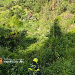 Los bomberos colaboran para restablecer el servicio de telefonía e internet al recuperar el extremo del cable caído en la maleza