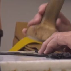 La producción del sector de la piel se sobrepuso a la crisis de la pandemia