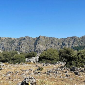 Otra vista (distinta) de la Sierra del Pinar