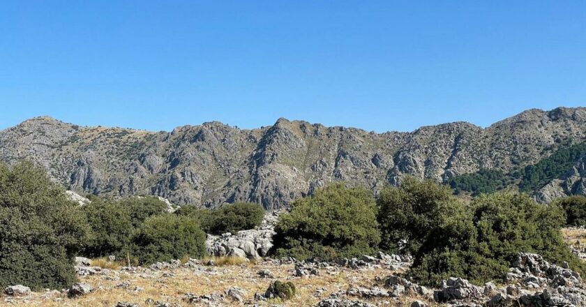 Otra vista (distinta) de la Sierra del Pinar