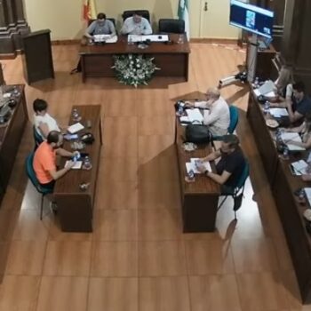 Pleno ordinario de junio