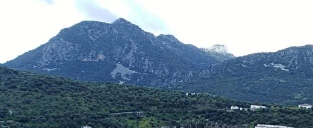 Vine al mundo mientras la partera doña L*** trasponía subida en un «amarillo» el cerro de Las Cumbres.