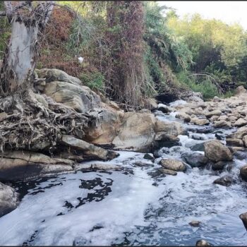 La depuradora de Ubrique no funciona bien y vierte aguas contaminadas al pantano de Los Hurones, según los ecologistas