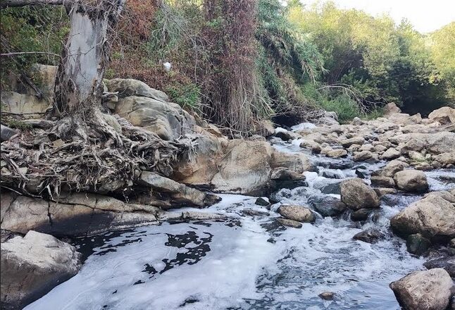 La depuradora de Ubrique no funciona bien y vierte aguas contaminadas al pantano de Los Hurones, según los ecologistas