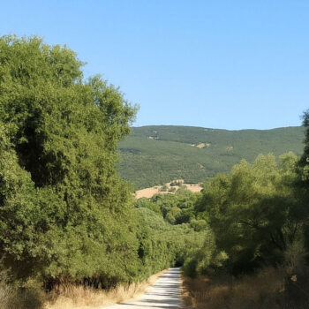 Ubrique, primer pueblo del parque natural que aprueba el inventario de caminos públicos
