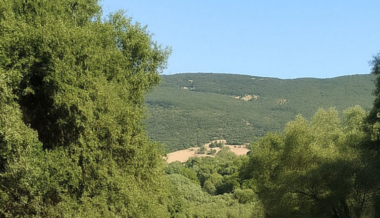 Ubrique, primer pueblo del parque natural que aprueba el inventario de caminos públicos