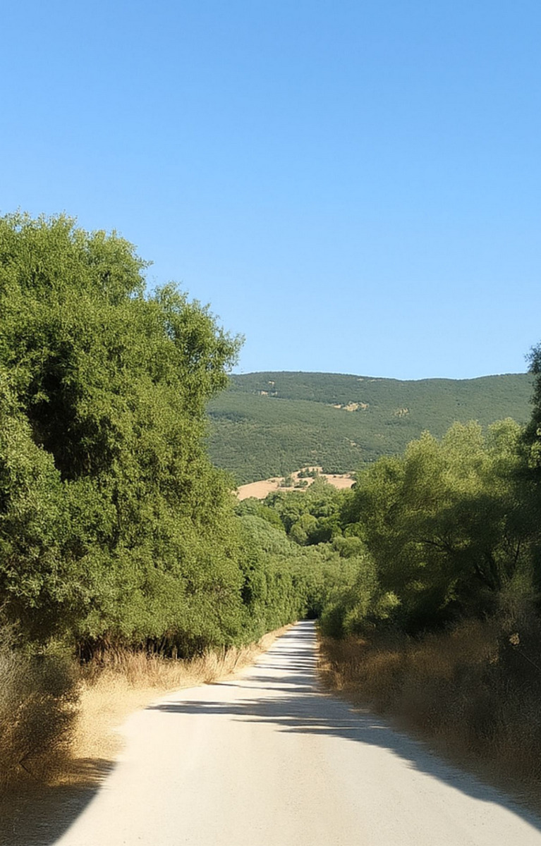 Camino de Ubrique a Cortes.