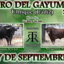 Un fallecido en el Toro del Gayumbo