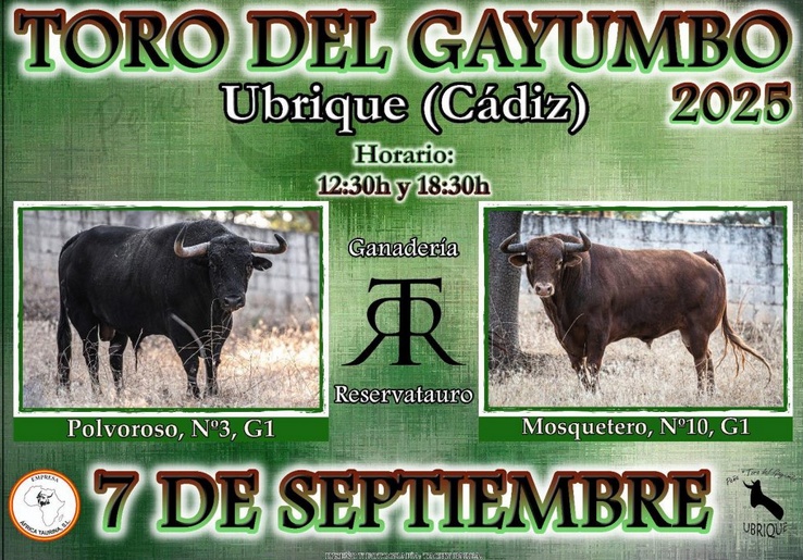 Cartel del Toro del Gayumbo.