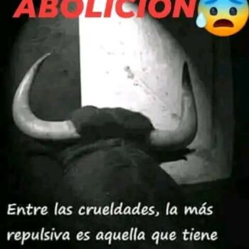 La Plataforma ubriqueña «No a la suelta del toro en nuestras calles» reflexiona sobre «una tragedia anunciada»