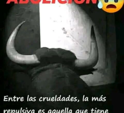 La Plataforma ubriqueña «No a la suelta del toro en nuestras calles» reflexiona sobre «una tragedia anunciada»