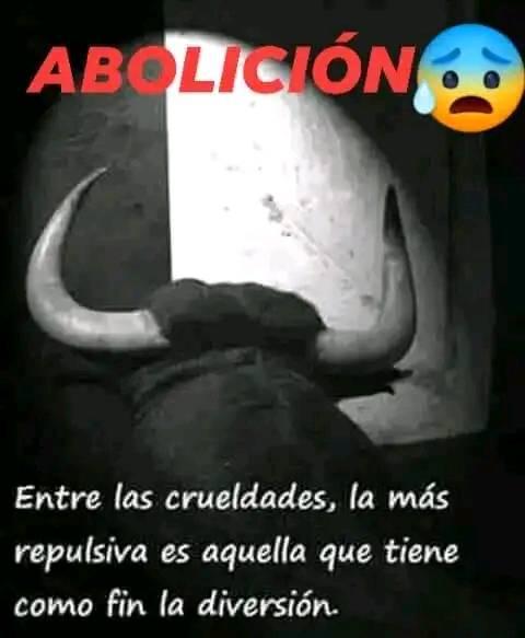 Cartel difundido por la Plataforma en facebook.