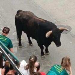 Un colectivo dice que la muerte de personas es razón de peso para abolir el festejo taurino