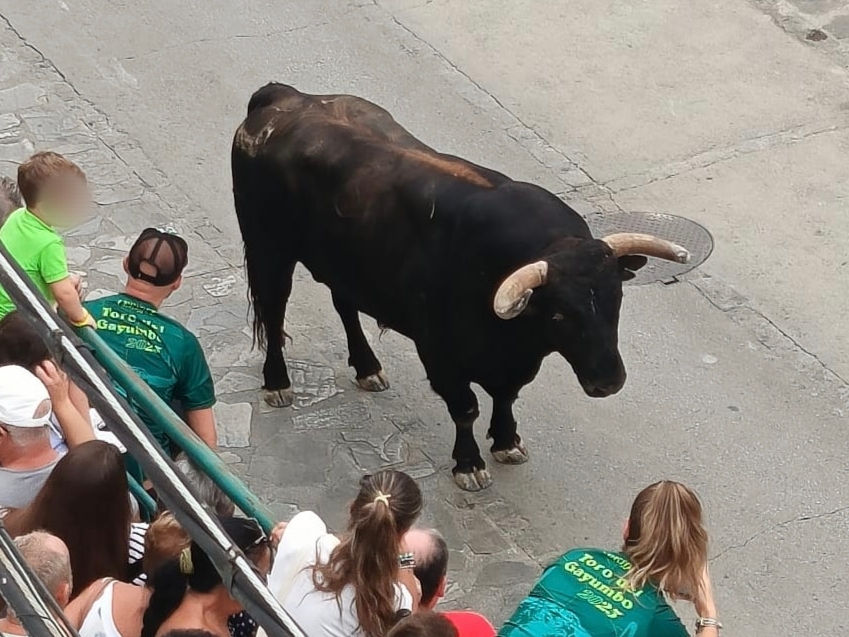 Toro y espectadores, entre los que se encuentra uno de muy corta edad.
