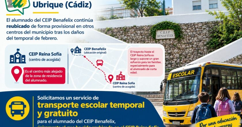 IU pide transporte escolar temporal gratuito para el alumnado del CEIP Benafelix reubicado en el CEIP Reina Sofía
